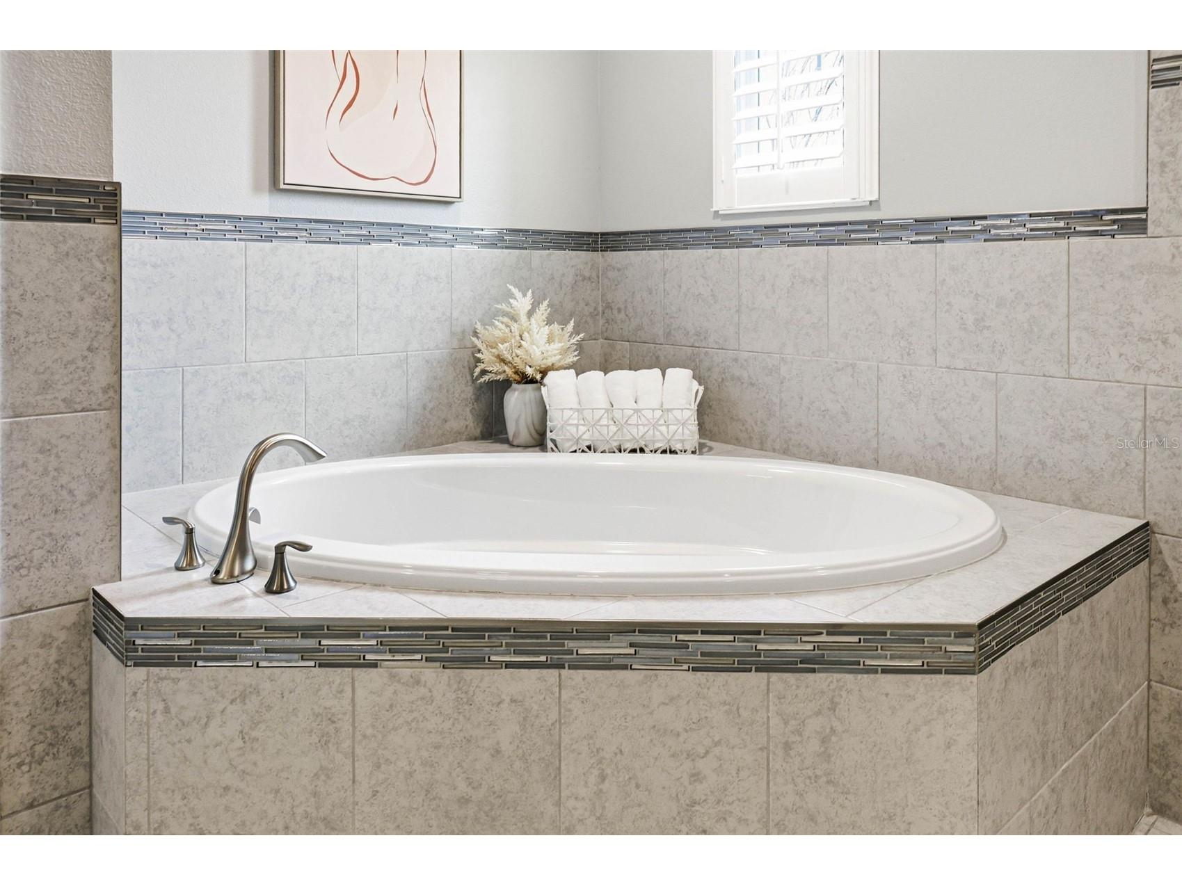 21804 Briske Morning Avenue Land O Lakes FL 34637 TB8490701 image47