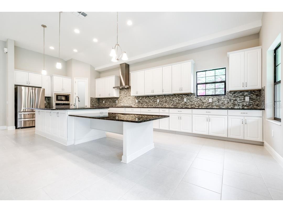 21807 Amelia Rose Way Land O Lakes FL 34637 TB8350287 image10