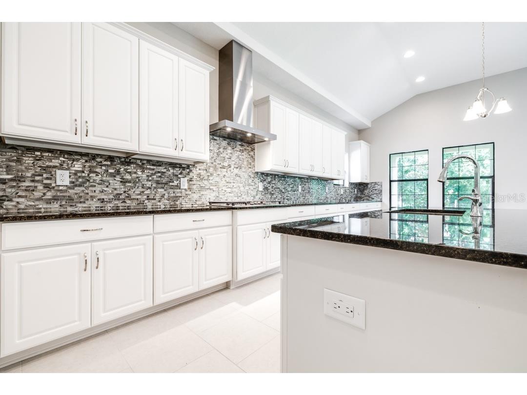 21807 Amelia Rose Way Land O Lakes FL 34637 TB8350287 image11