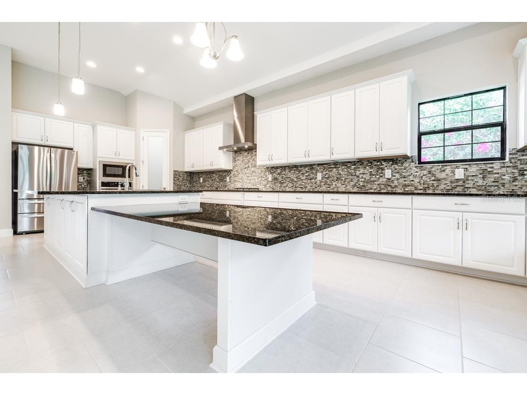 21807 Amelia Rose Way Land O Lakes FL 34637 TB8350287 image12