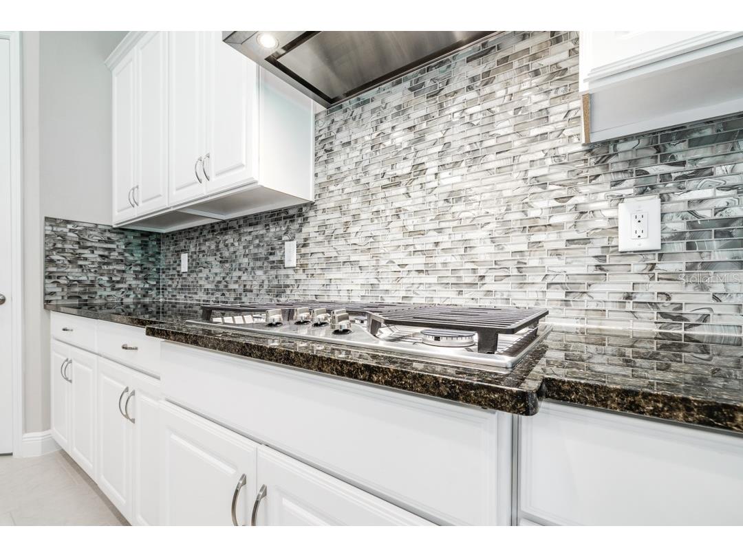 21807 Amelia Rose Way Land O Lakes FL 34637 TB8350287 image15