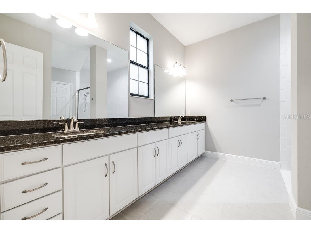 21807 Amelia Rose Way Land O Lakes FL 34637 TB8350287 image22