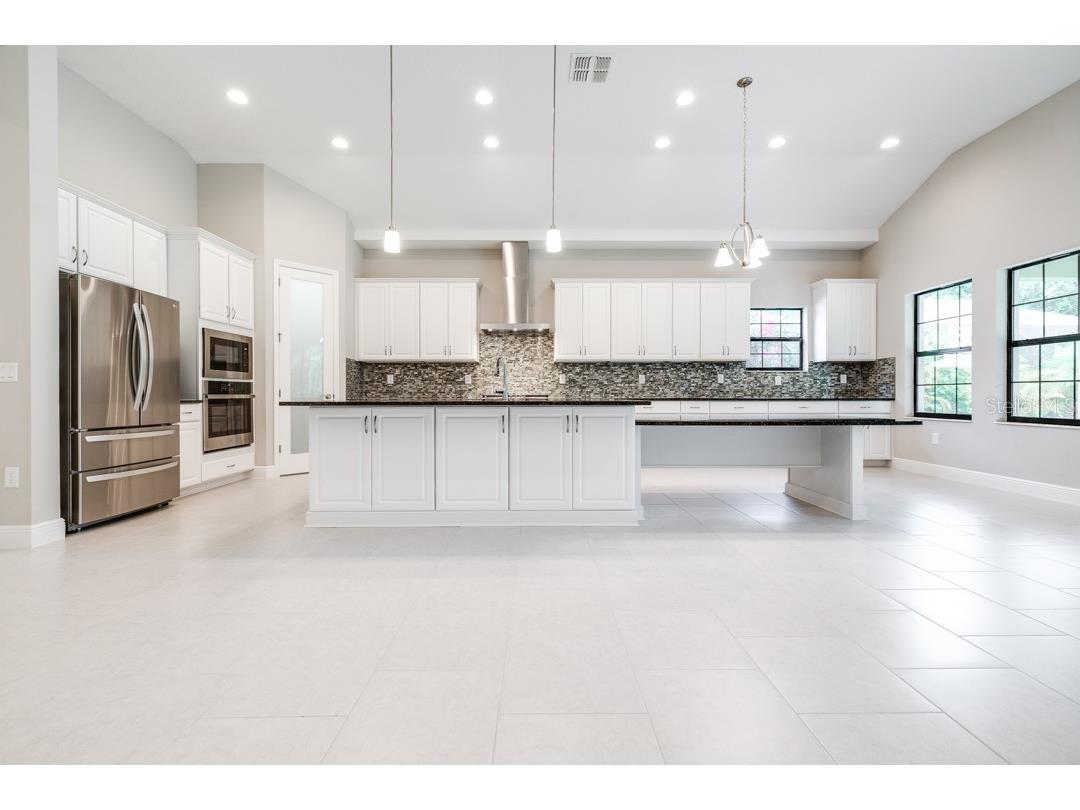 21807 Amelia Rose Way Land O Lakes FL 34637 TB8350287 image3