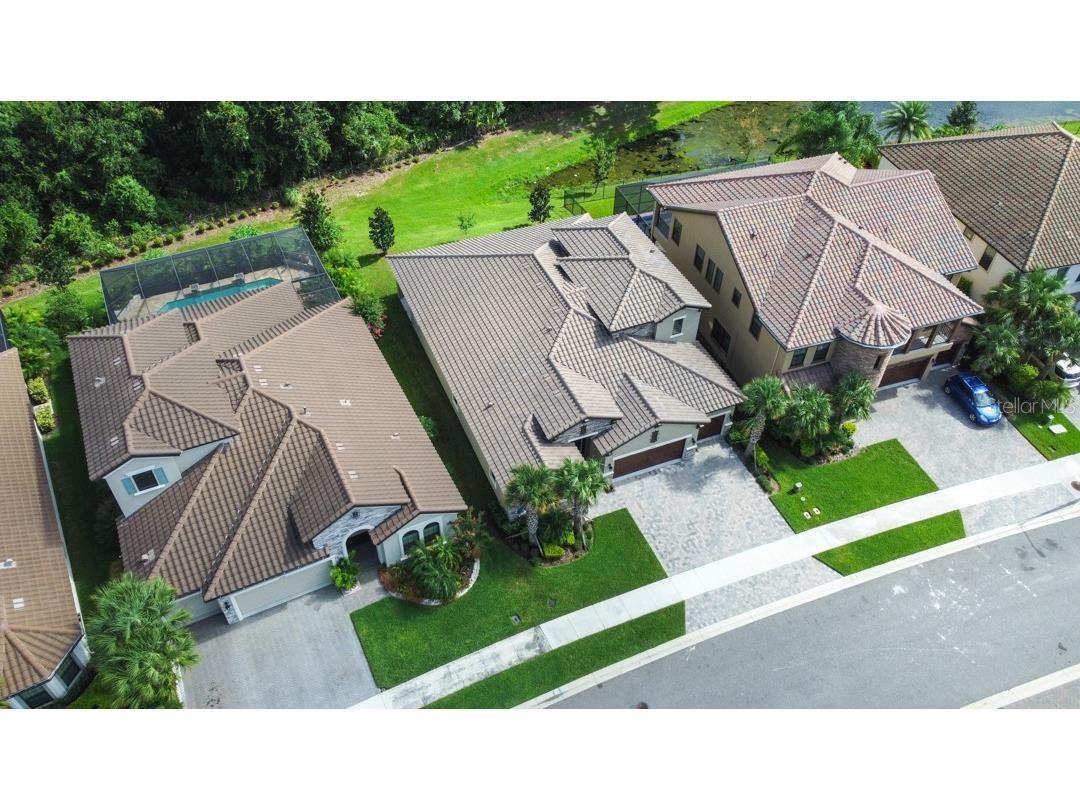 21807 Amelia Rose Way Land O Lakes FL 34637 TB8350287 image45