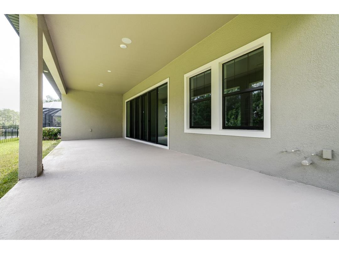 21807 Amelia Rose Way Land O Lakes FL 34637 TB8350287 image47