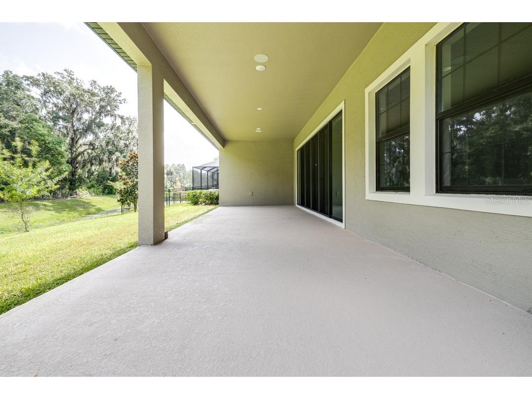 21807 Amelia Rose Way Land O Lakes FL 34637 TB8350287 image50