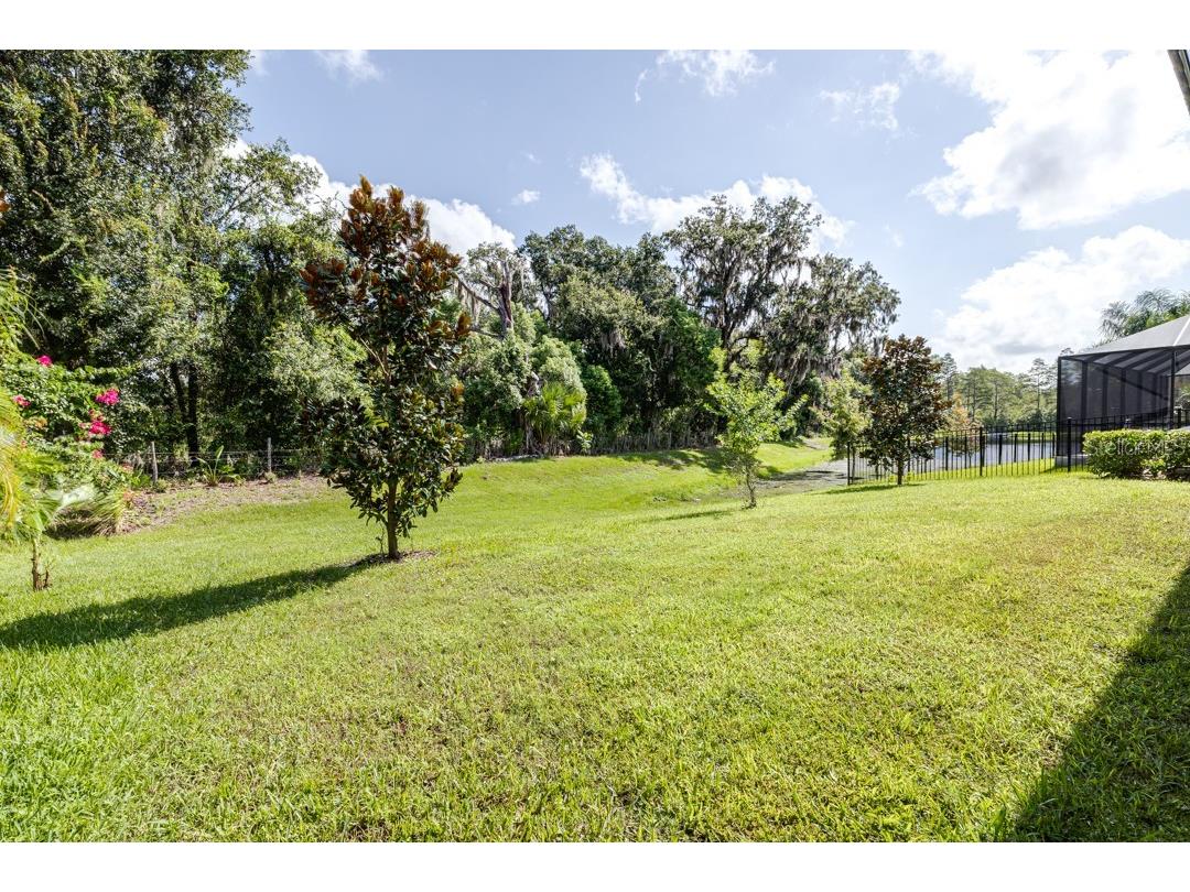 21807 Amelia Rose Way Land O Lakes FL 34637 TB8350287 image51