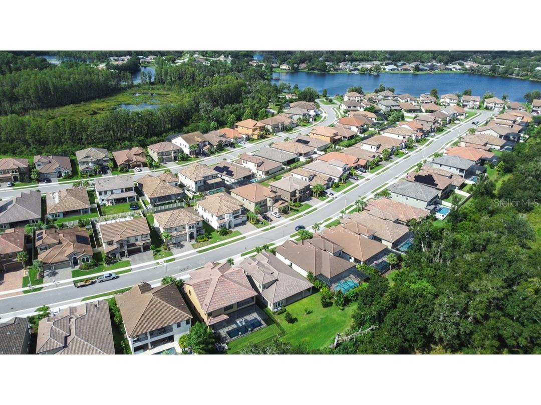21807 Amelia Rose Way Land O Lakes FL 34637 TB8350287 image58