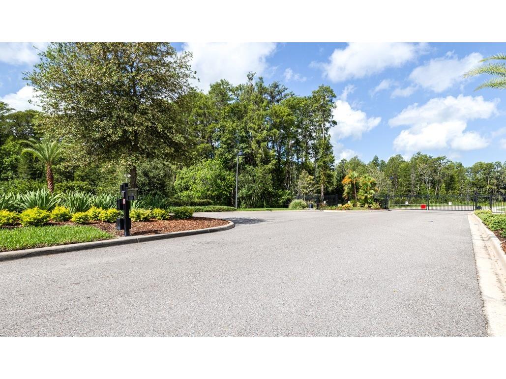 21807 Amelia Rose Way Land O Lakes FL 34637 TB8350287 image66