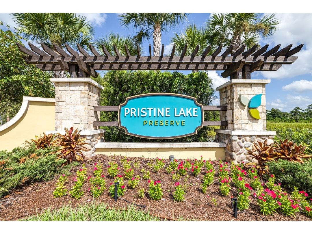 21807 Amelia Rose Way Land O Lakes FL 34637 TB8350287 image67