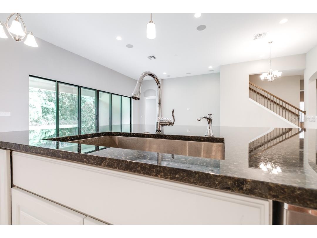 21807 Amelia Rose Way Land O Lakes FL 34637 TB8350287 image8