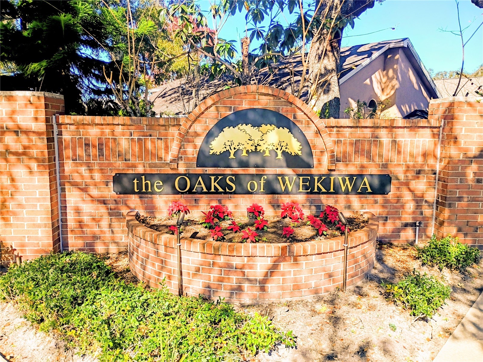 2181 Wekiwa Oaks Drive Apopka FL 32703 O6314297 image41