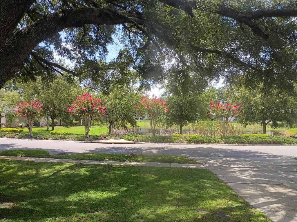 2181 Wekiwa Oaks Drive Apopka FL 32703 O6314297 image5