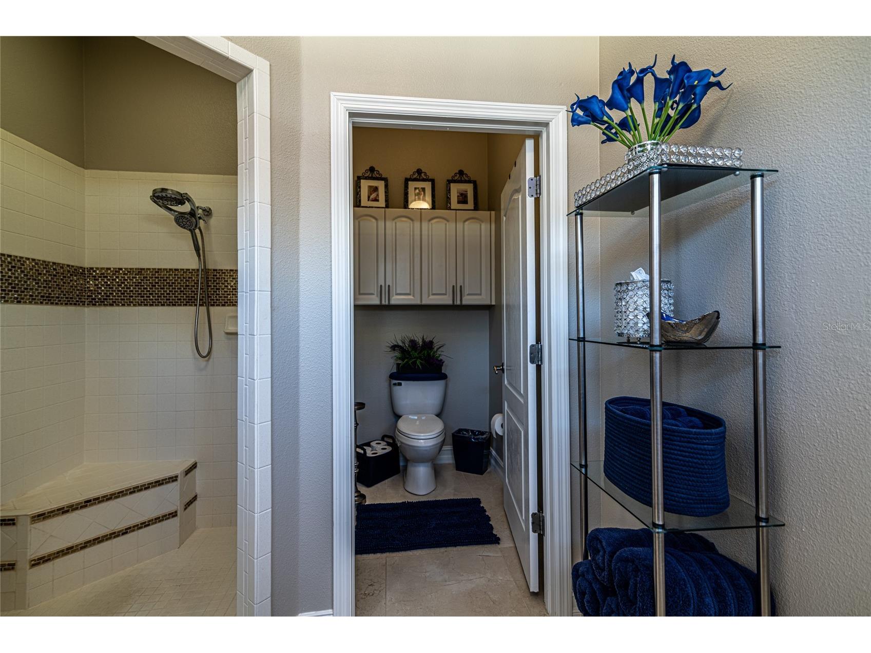 21812 N Carson Drive Land O Lakes FL 34639 TB8459858 image24