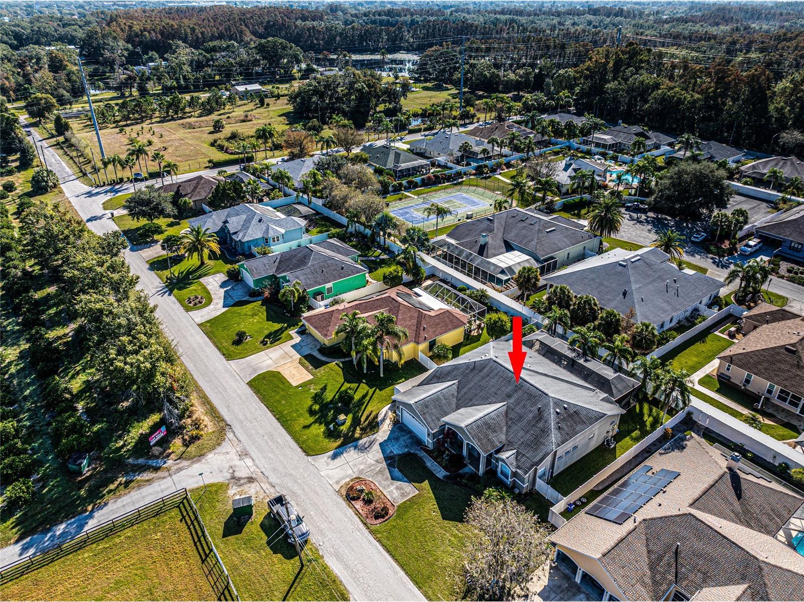 21812 N Carson Drive Land O Lakes FL 34639 TB8459858 image4