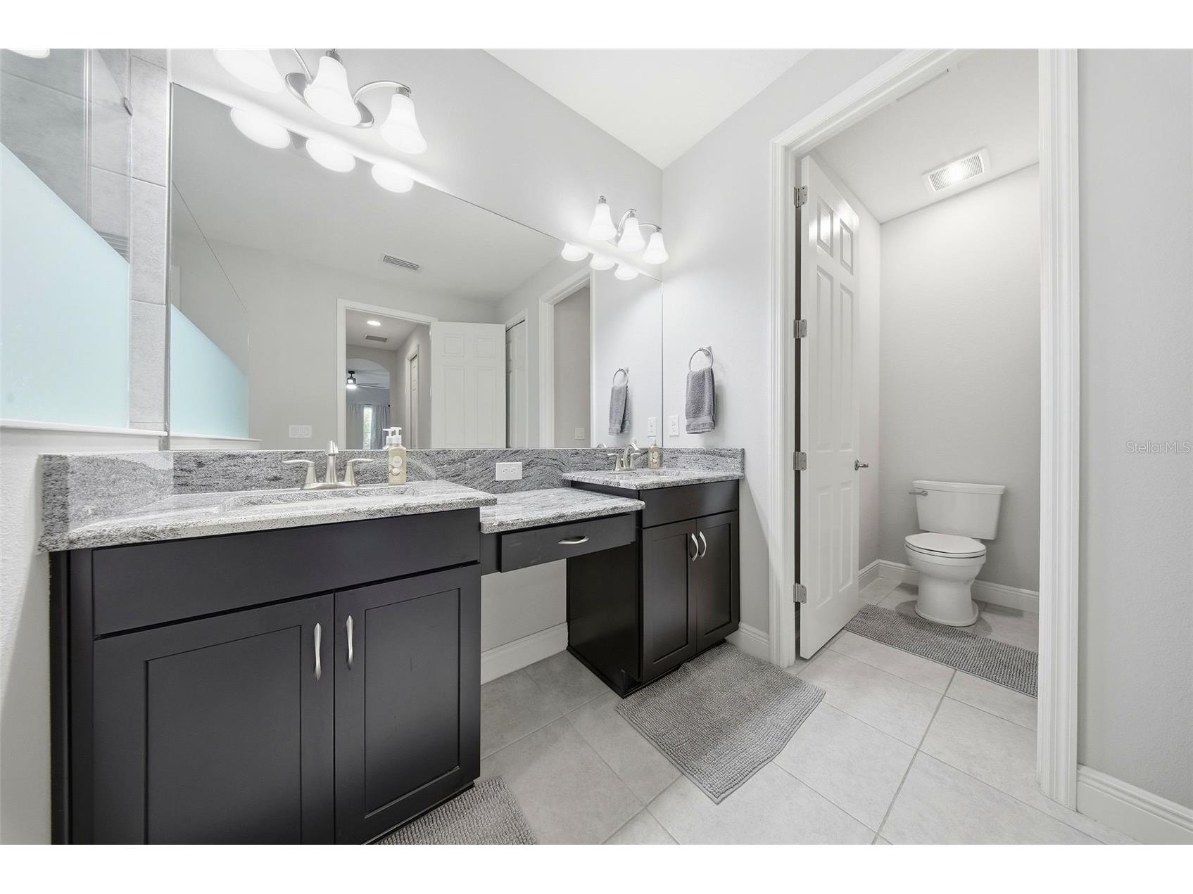 21813 Briske Morning Avenue Land O Lakes FL 34637 A4677735 image27