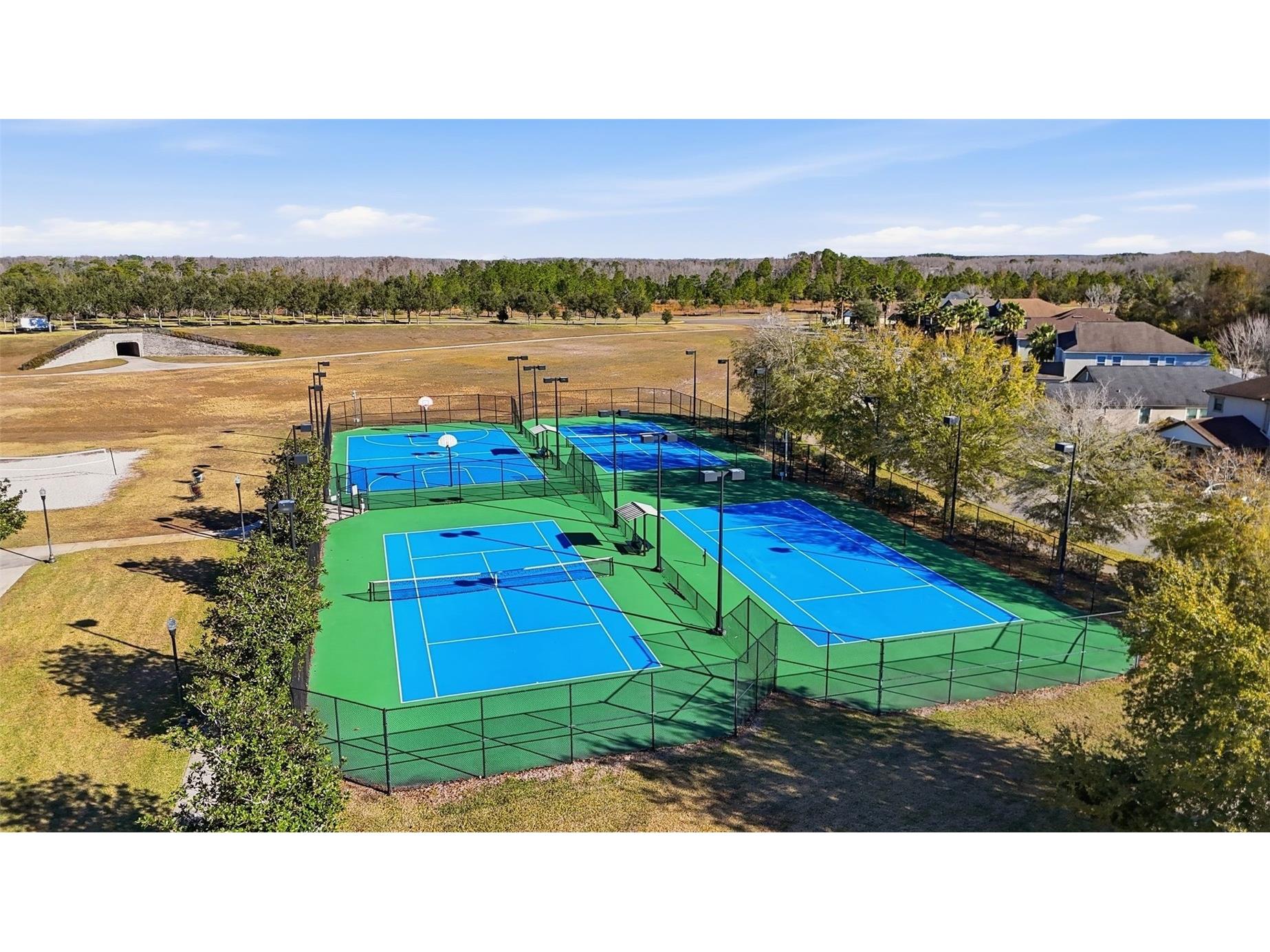 21813 Briske Morning Avenue Land O Lakes FL 34637 A4677735 image60