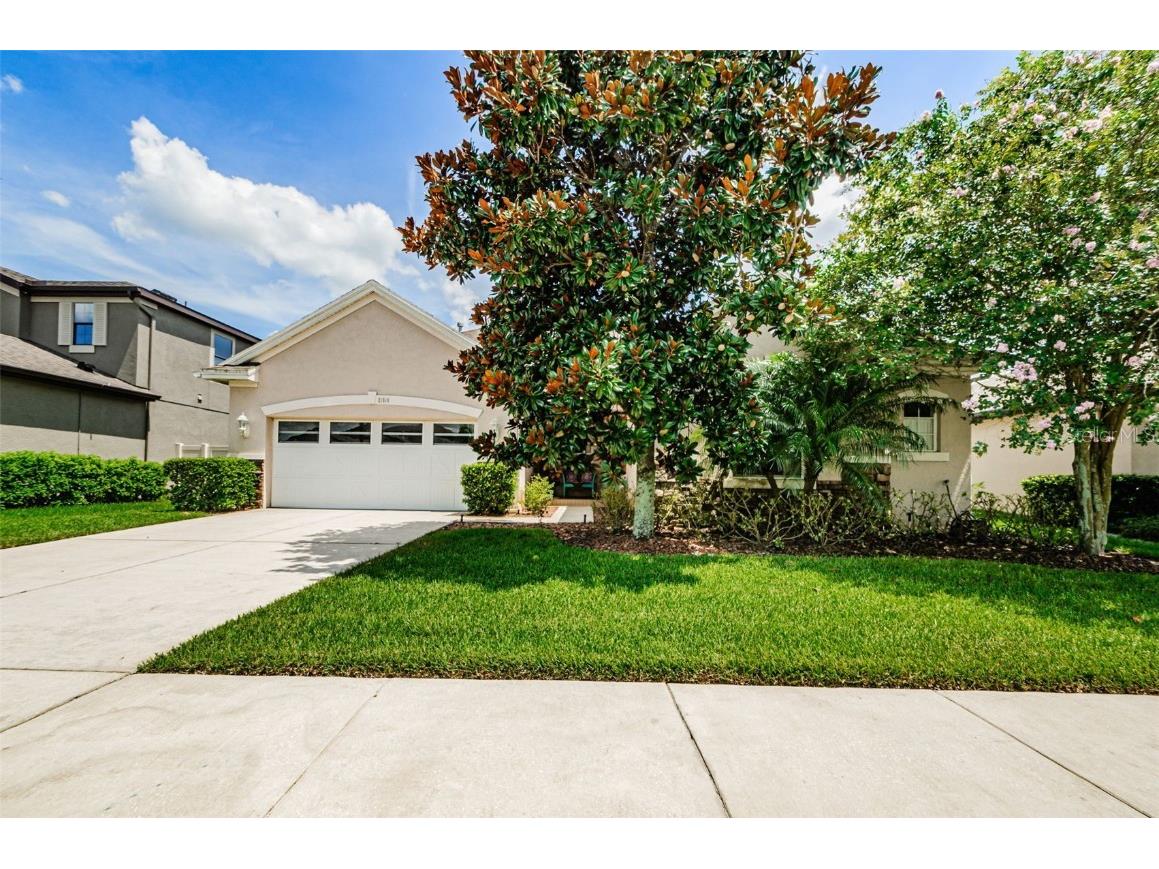 21814 Southern Charm Drive Land O Lakes FL 34637 T3460730 image1