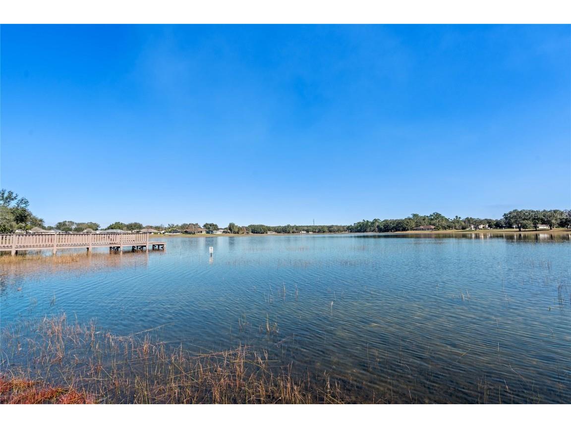 21815 Tartan Street Leesburg FL 34748 G5095978 image42