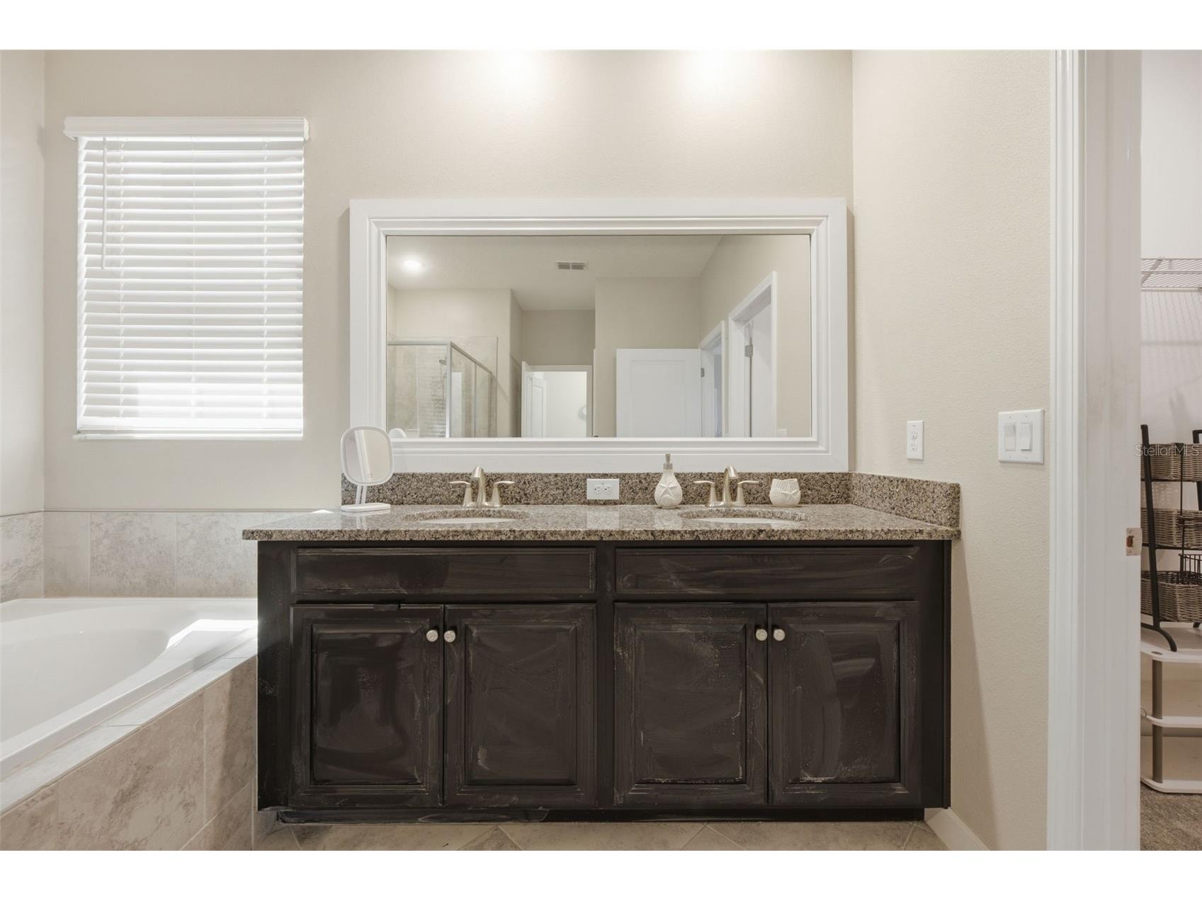 21816 Crest Meadow Drive Land O Lakes FL 34637 TB8524532 image22