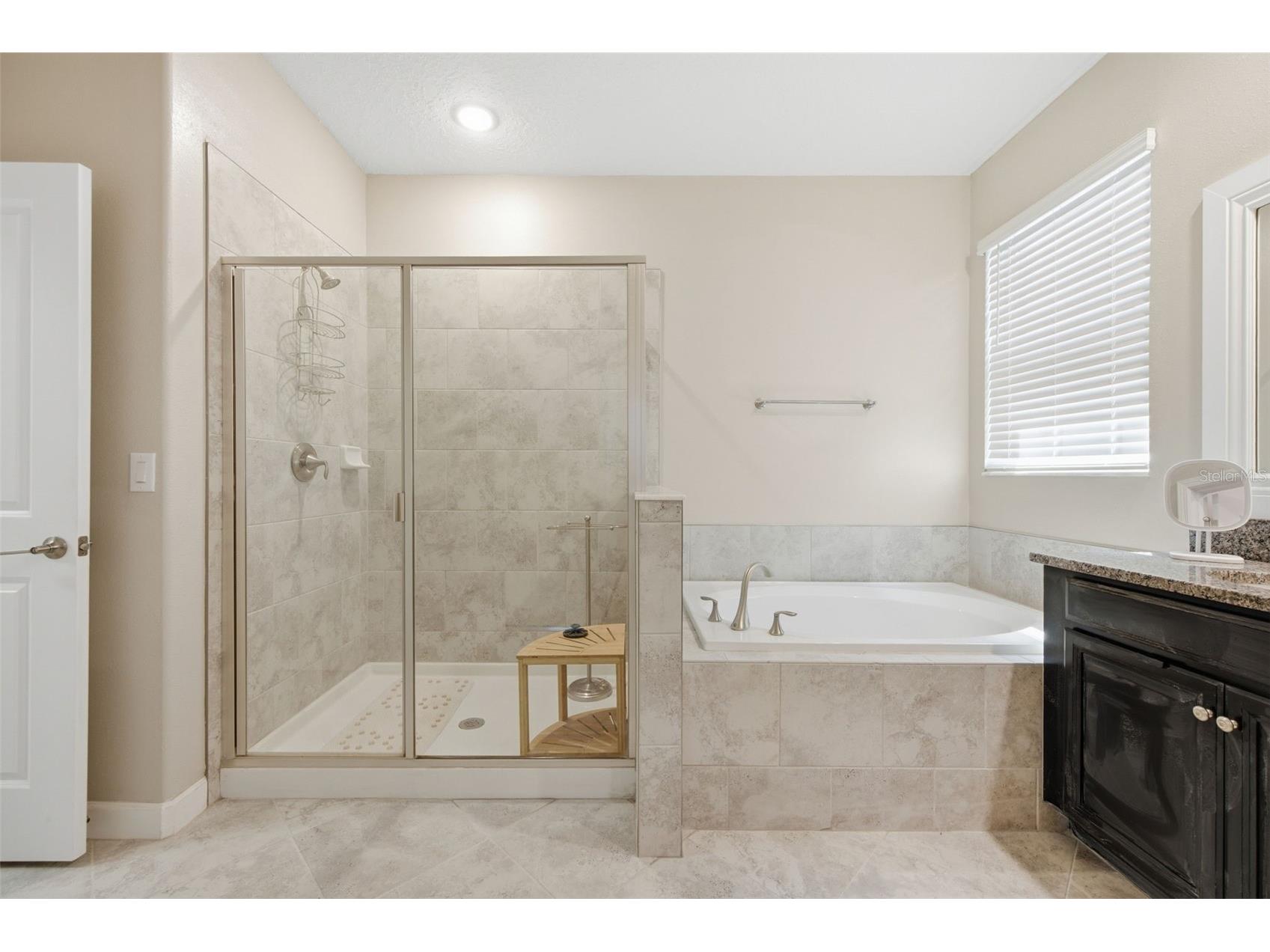 21816 Crest Meadow Drive Land O Lakes FL 34637 TB8524532 image23