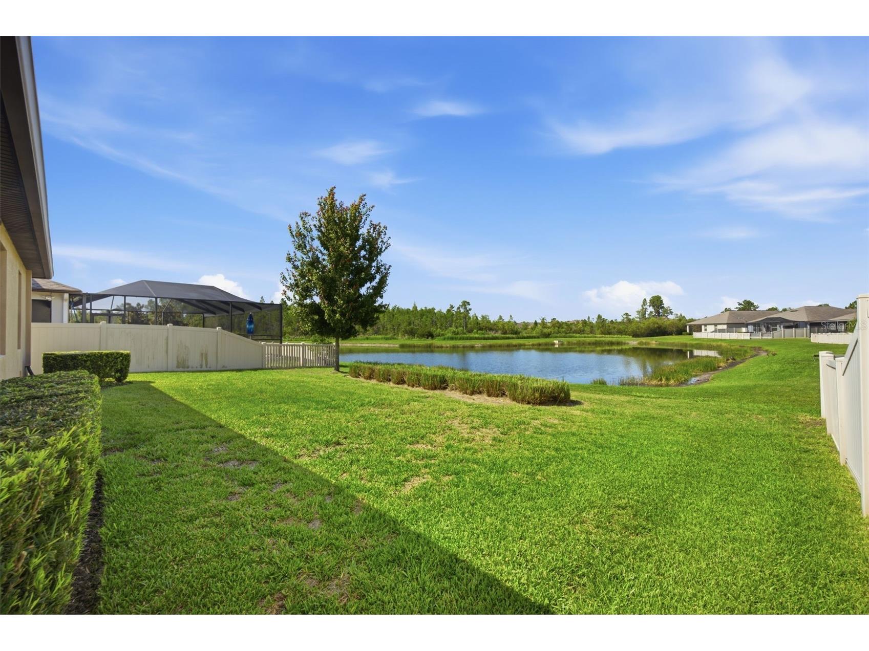 21816 Crest Meadow Drive Land O Lakes FL 34637 TB8524532 image28