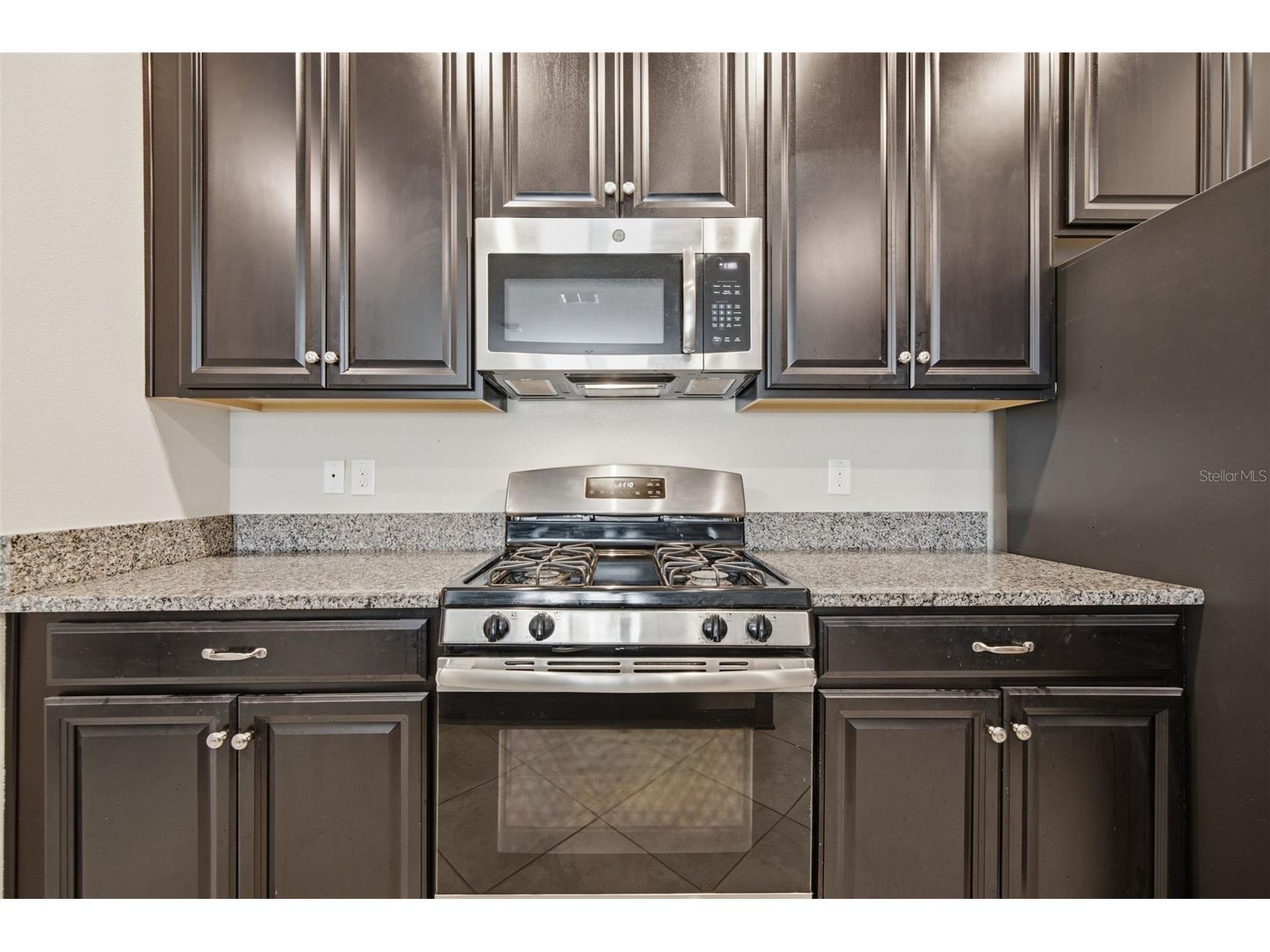 21816 Crest Meadow Drive Land O Lakes FL 34637 TB8524532 image8