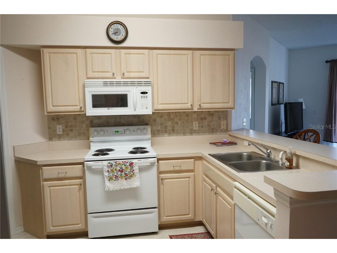 2182 Acadia Greens Drive #66 Sun City Center FL 33573 TB8432606 image15