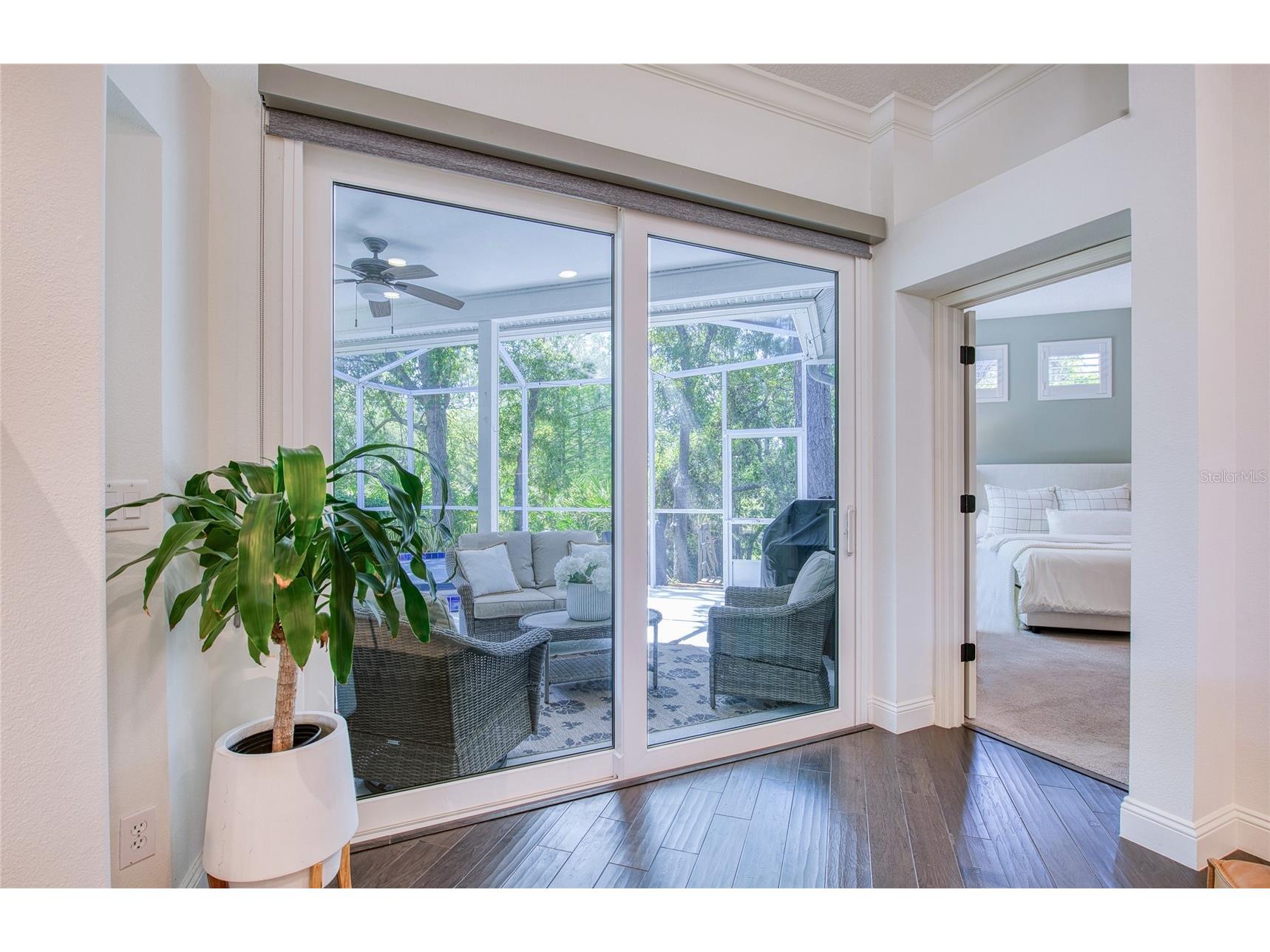 2182 Trevor Road Palm Harbor FL 34683 TB8498388 image14