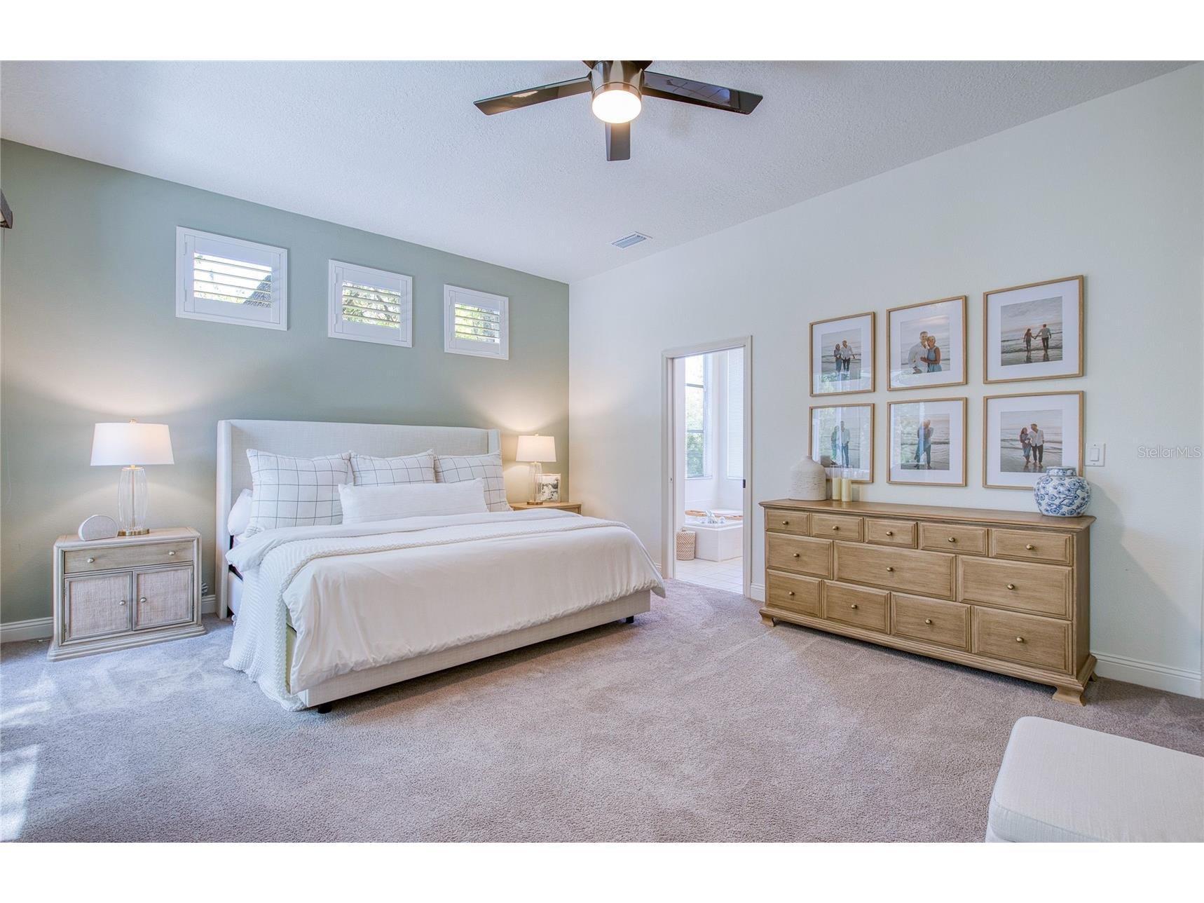 2182 Trevor Road Palm Harbor FL 34683 TB8498388 image27