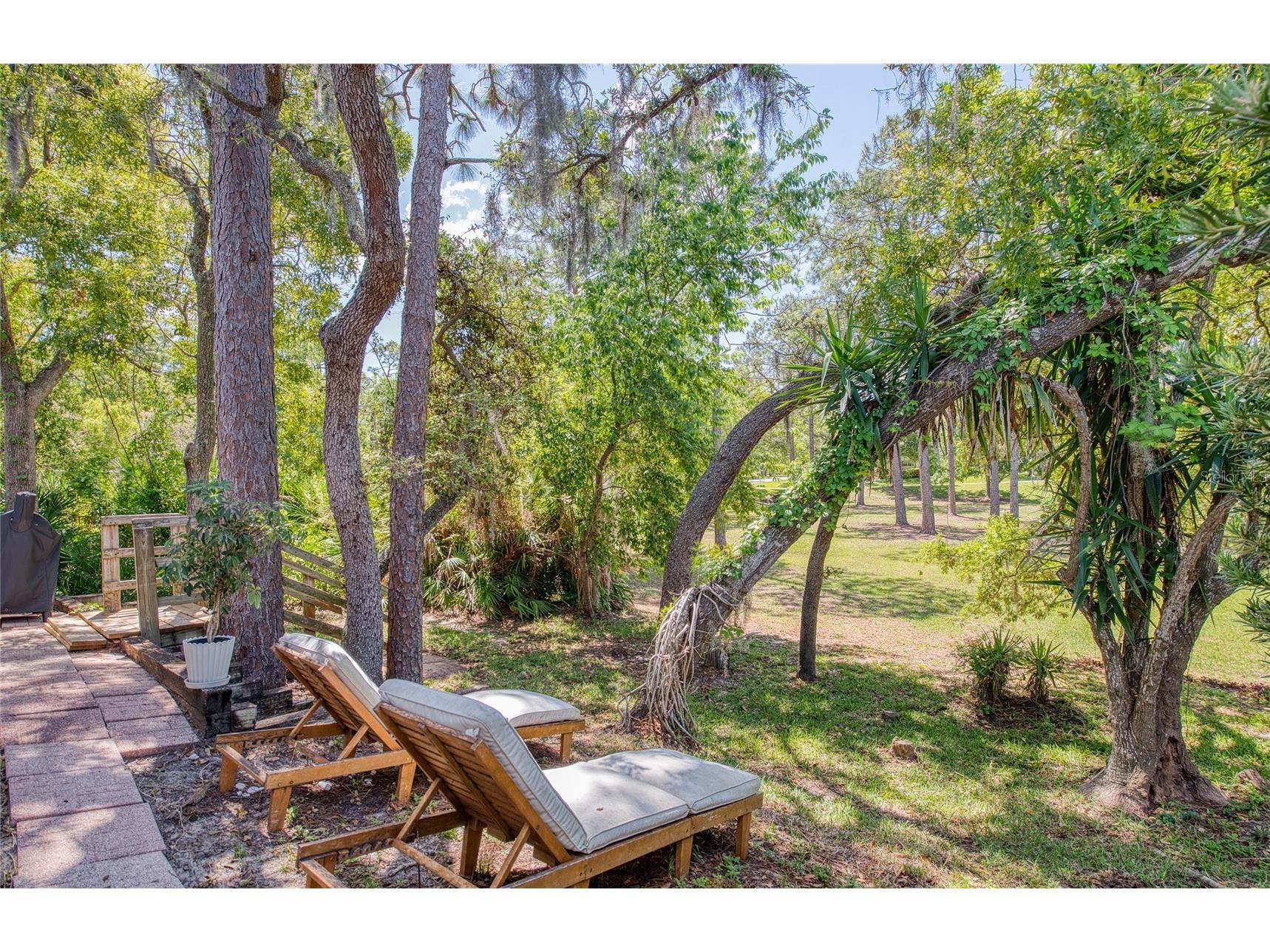 2182 Trevor Road Palm Harbor FL 34683 TB8498388 image51