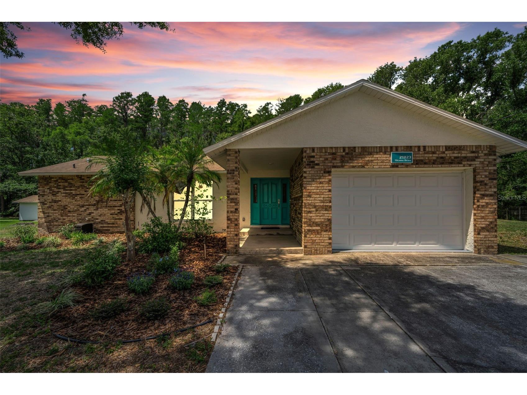 21823 Shamu Drive Land O Lakes FL 34639 TB8502039 image1