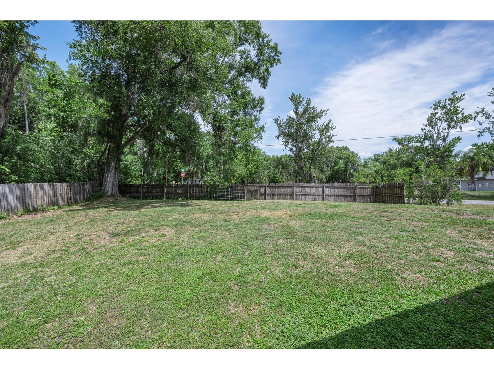 21823 Shamu Drive Land O Lakes FL 34639 TB8502039 image45