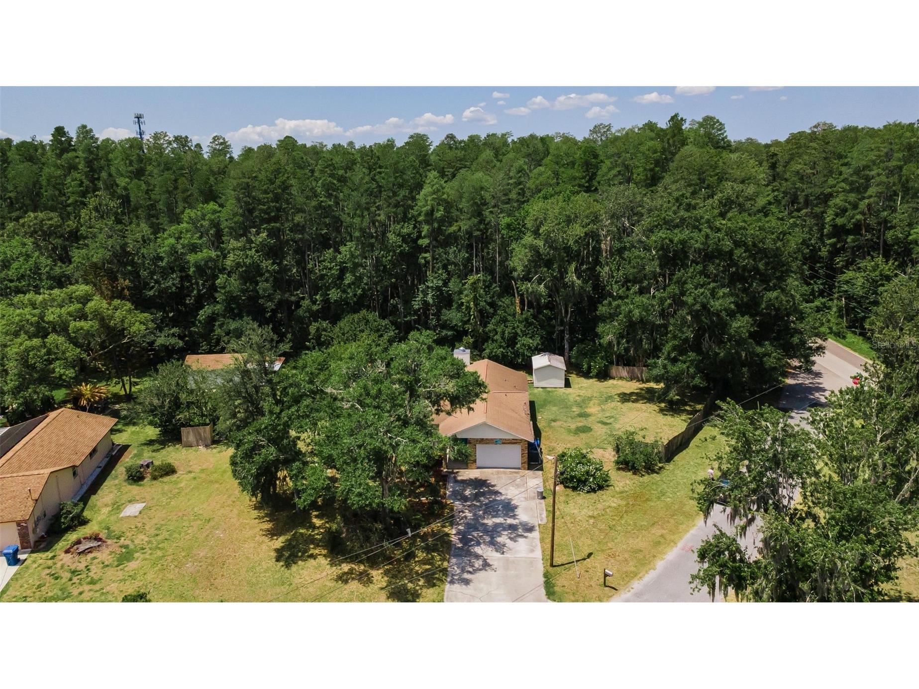 21823 Shamu Drive Land O Lakes FL 34639 TB8502039 image46