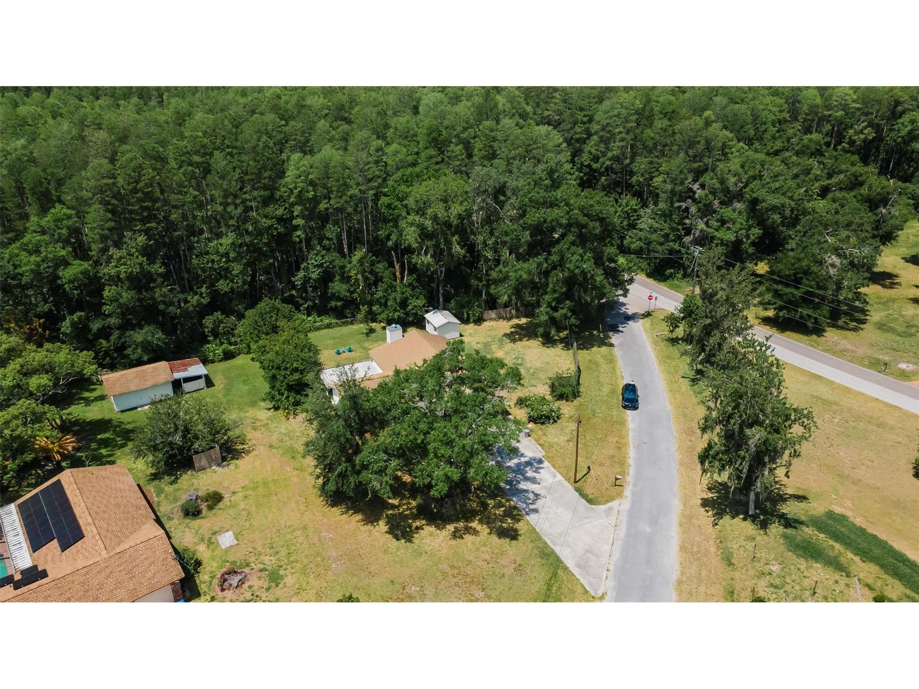 21823 Shamu Drive Land O Lakes FL 34639 TB8502039 image48