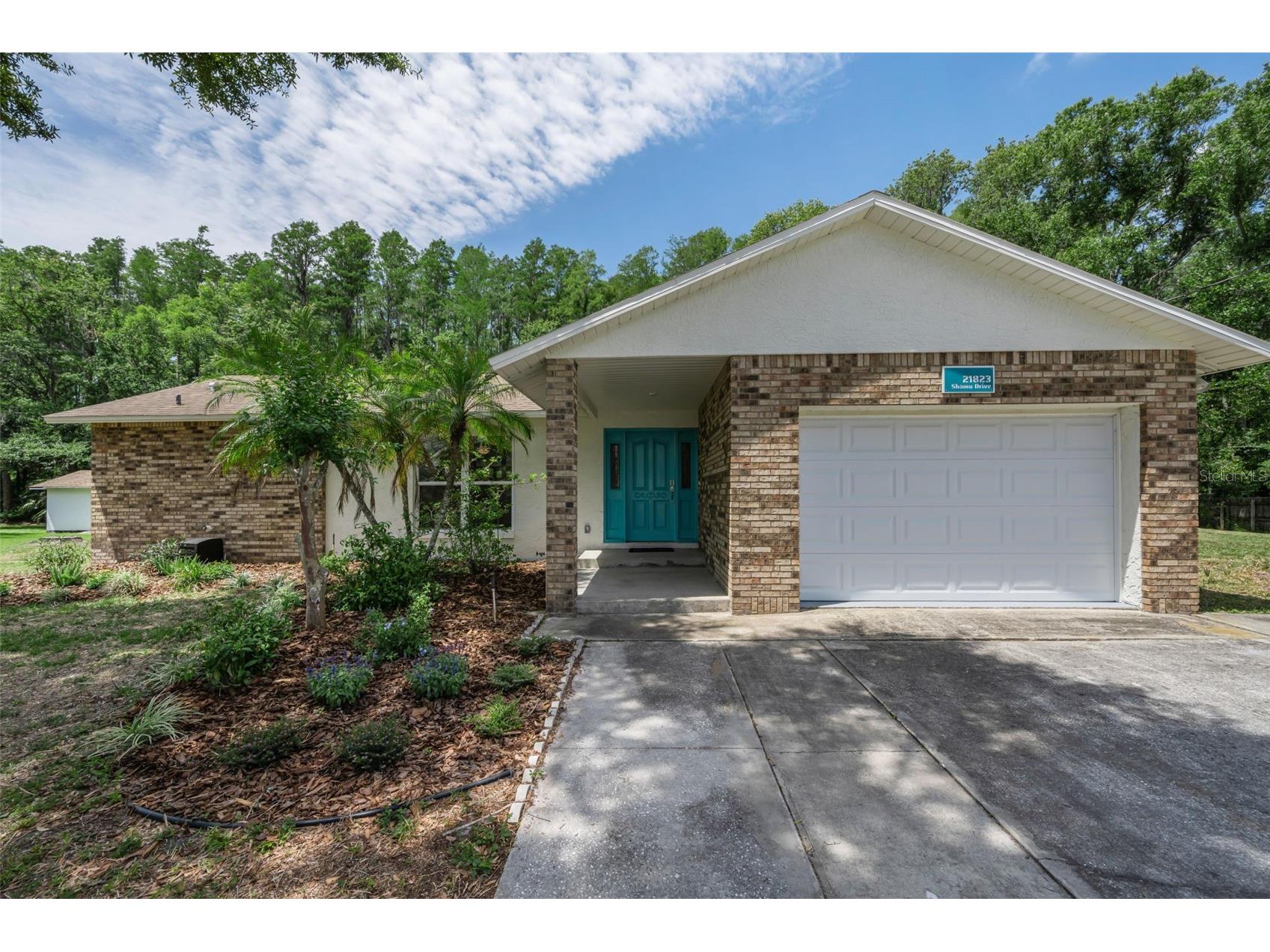 21823 Shamu Drive Land O Lakes FL 34639 TB8502039 image52