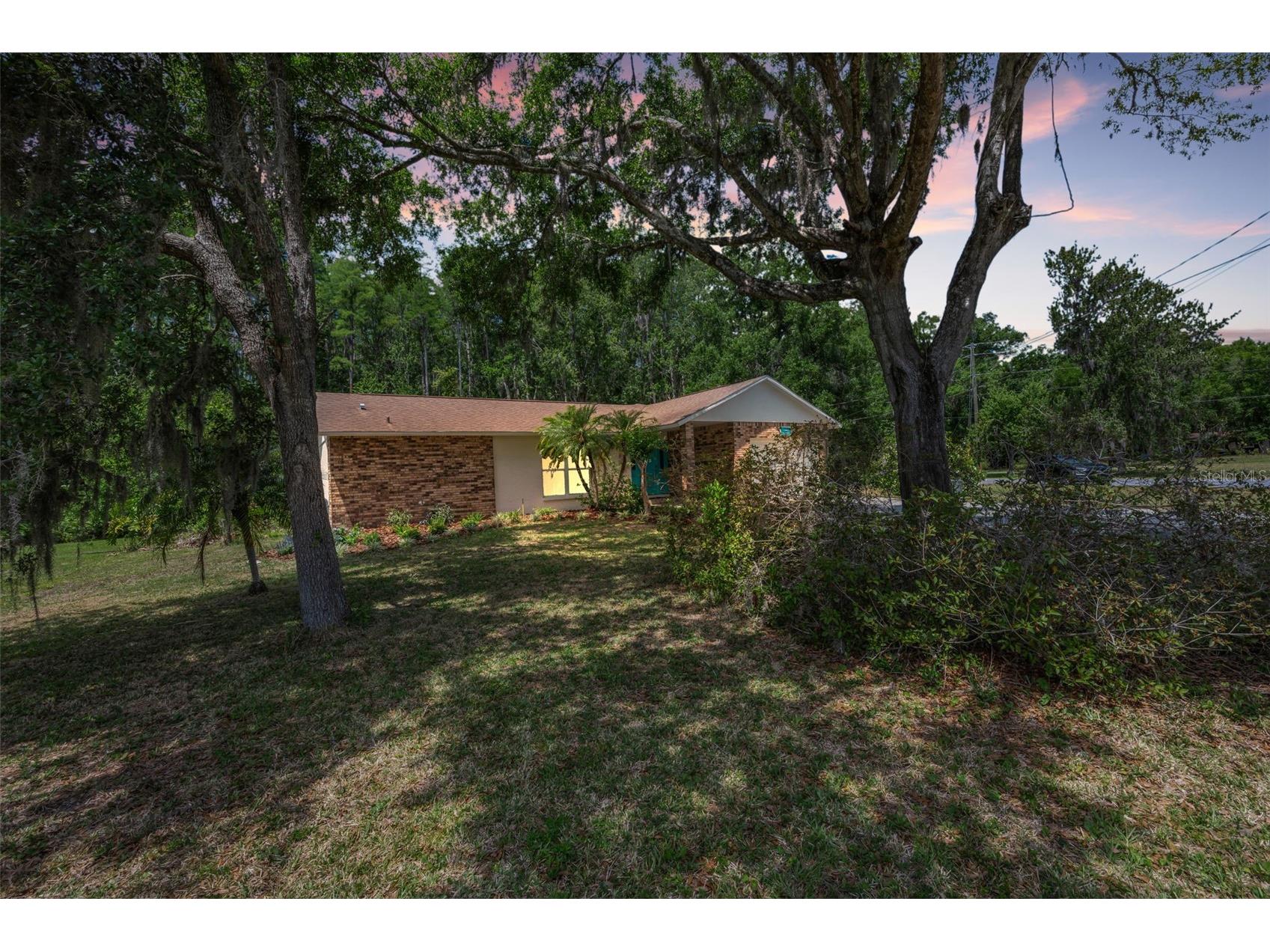 21823 Shamu Drive Land O Lakes FL 34639 TB8502039 image56