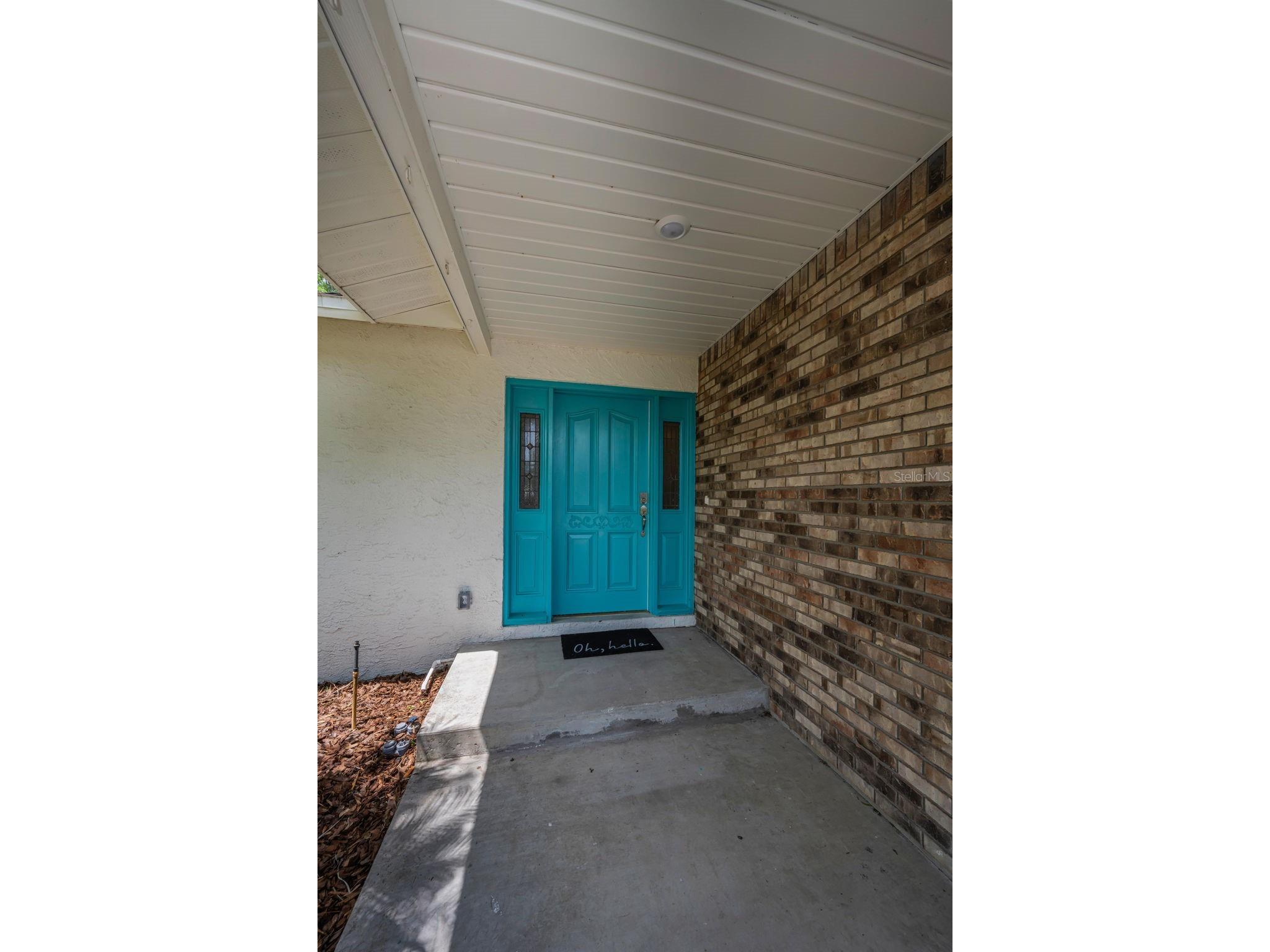 21823 Shamu Drive Land O Lakes FL 34639 TB8502039 image59