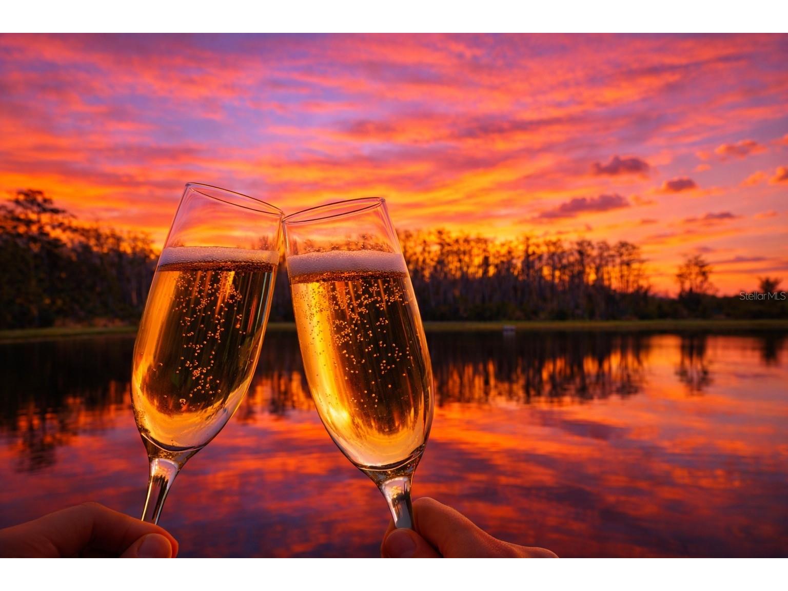 2183 Crystal Bell Street Orlando FL 32824 O6389219 image29