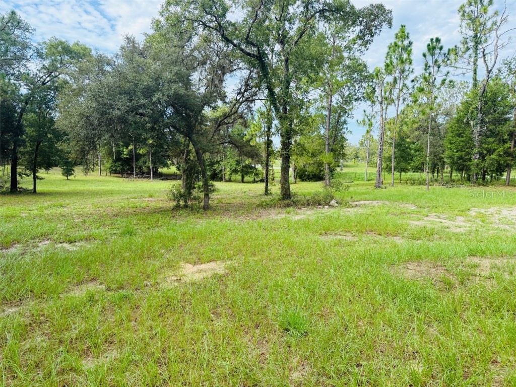 21830 SE 66th Street Morriston FL 32668 W7877526 image2