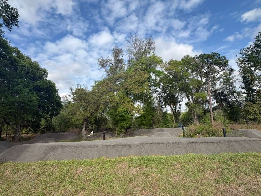 21834 Adriatic Lane Land O Lakes FL 34637 TB8488405 image55