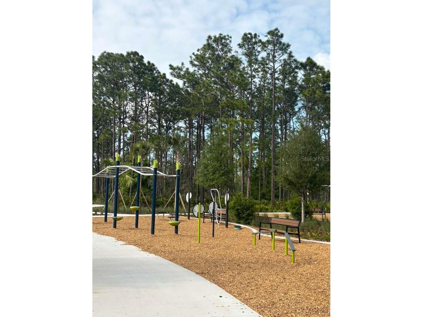 21834 Adriatic Lane Land O Lakes FL 34637 TB8488405 image60