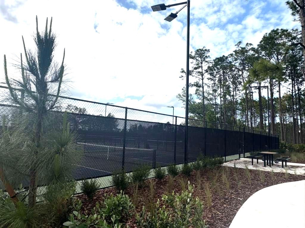 21834 Adriatic Lane Land O Lakes FL 34637 TB8488405 image61