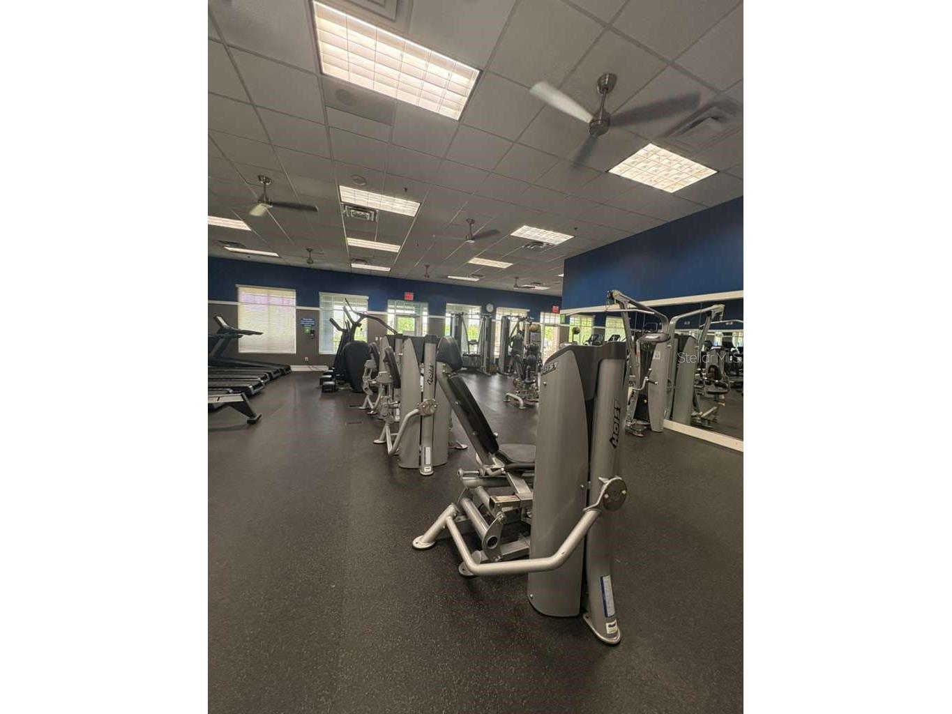 21834 Adriatic Lane Land O Lakes FL 34637 TB8488405 image66