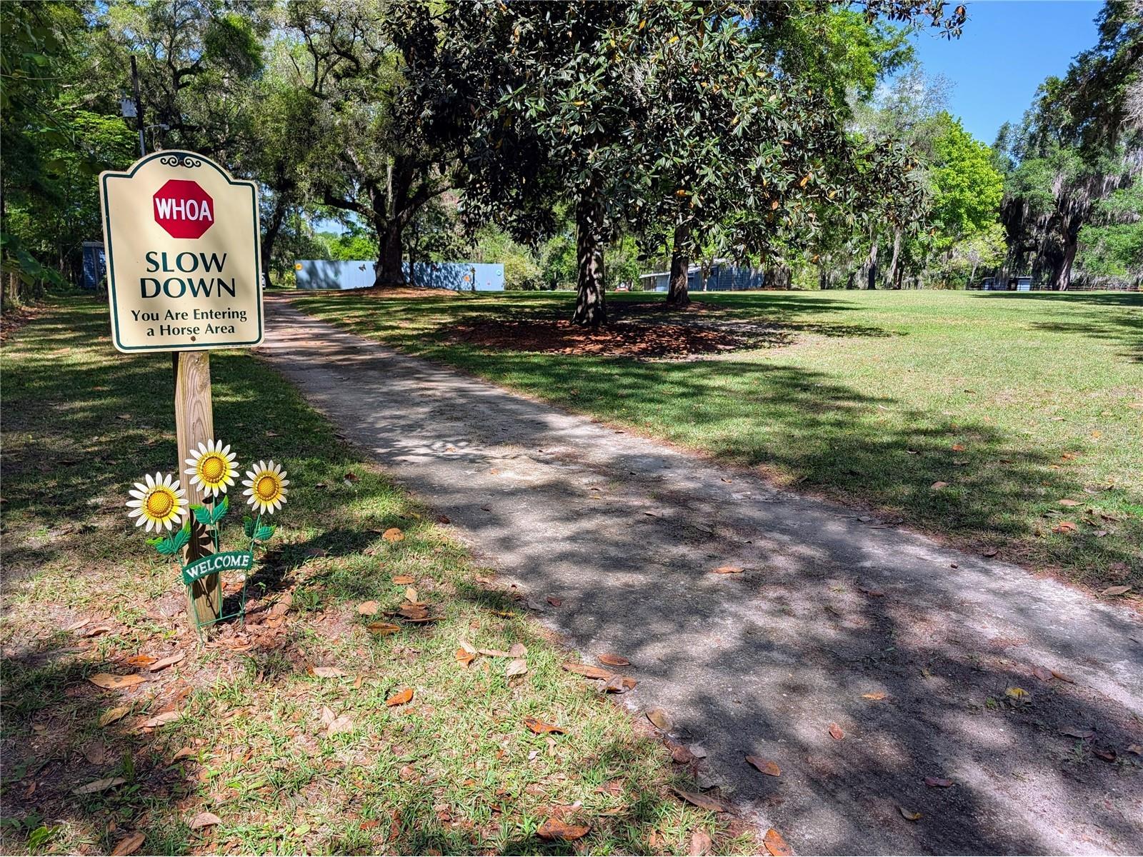 21840 NW 218th Terrace High Springs FL 32643 GC539069 image48