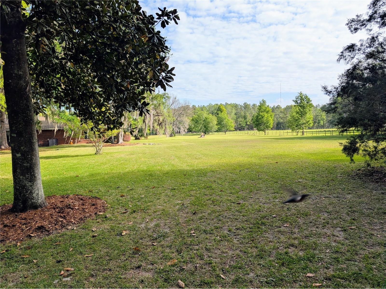 21840 NW 218th Terrace High Springs FL 32643 GC539069 image50