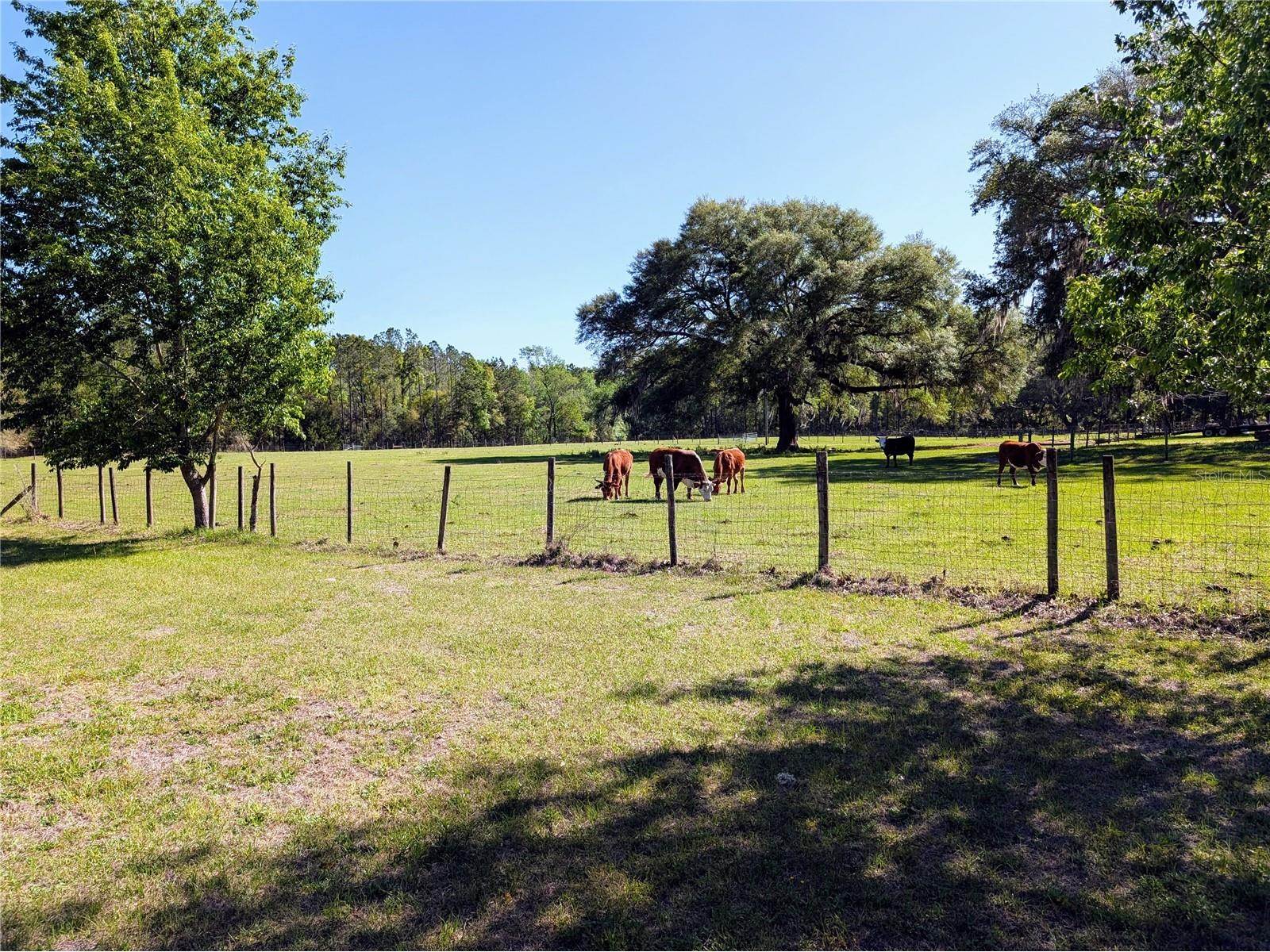 21840 NW 218th Terrace High Springs FL 32643 GC539069 image59