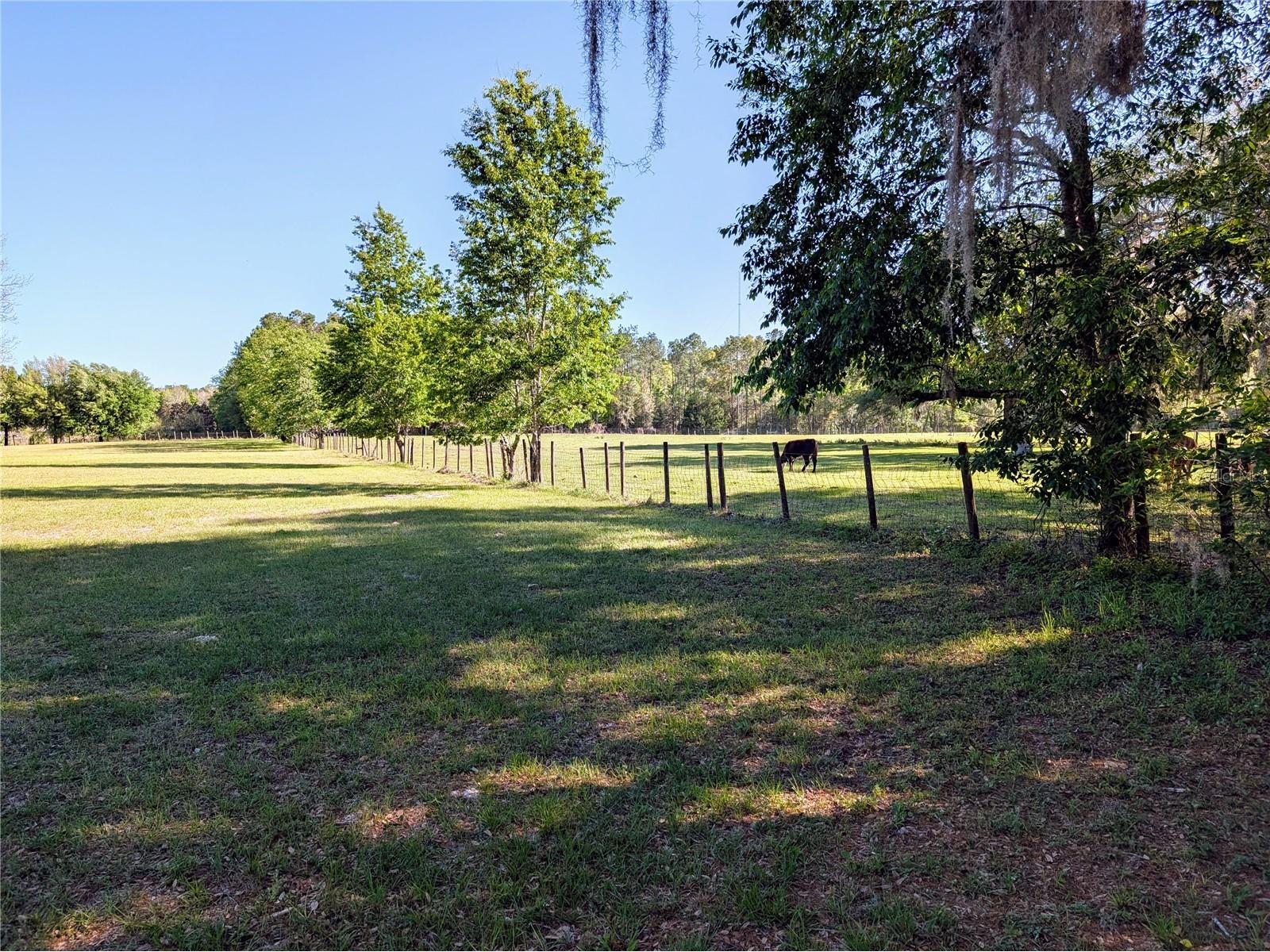 21840 NW 218th Terrace High Springs FL 32643 GC539069 image60