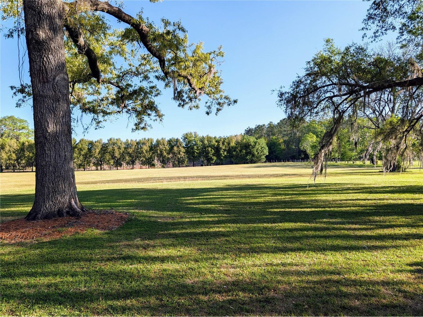21840 NW 218th Terrace High Springs FL 32643 GC539069 image70