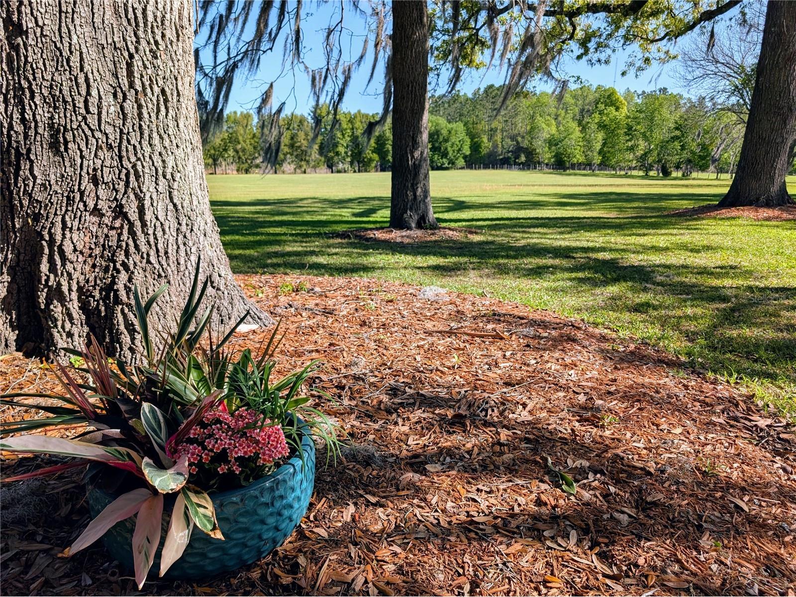 21840 NW 218th Terrace High Springs FL 32643 GC539069 image72